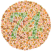 Do you see a number 74 in here Do you see a number 74 in here?